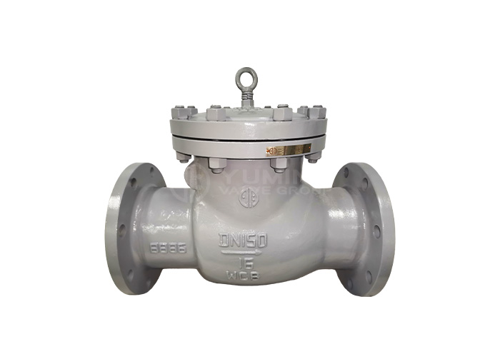 Swing Check Valve